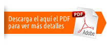 Descargar PDF!